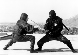 Only a ninja can kill a ninja...