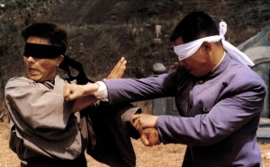 Blindfolded fighting!