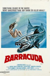 barracuda-poster