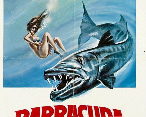 barracuda-poster